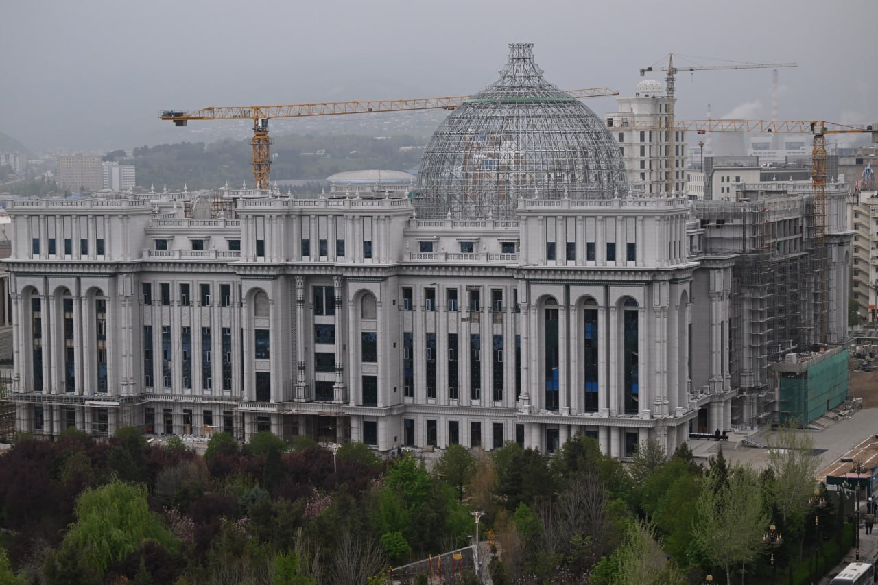 photo_5368333315116569699_y