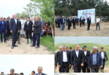 Давлаталӣ Саид дар ноҳияи Ҷайҳун ва Панҷ