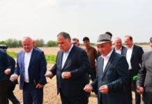 Кишти пахта дар ноҳияи Зафаробод вусъат меёбад