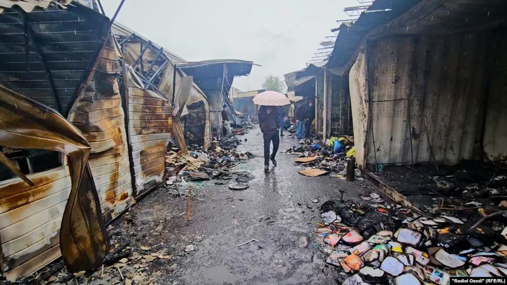 photo_5382293114174772479_y