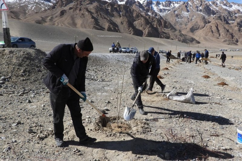 photo_5382293114174772504_x