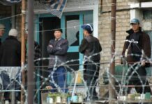 Тасмими Қирғизистон