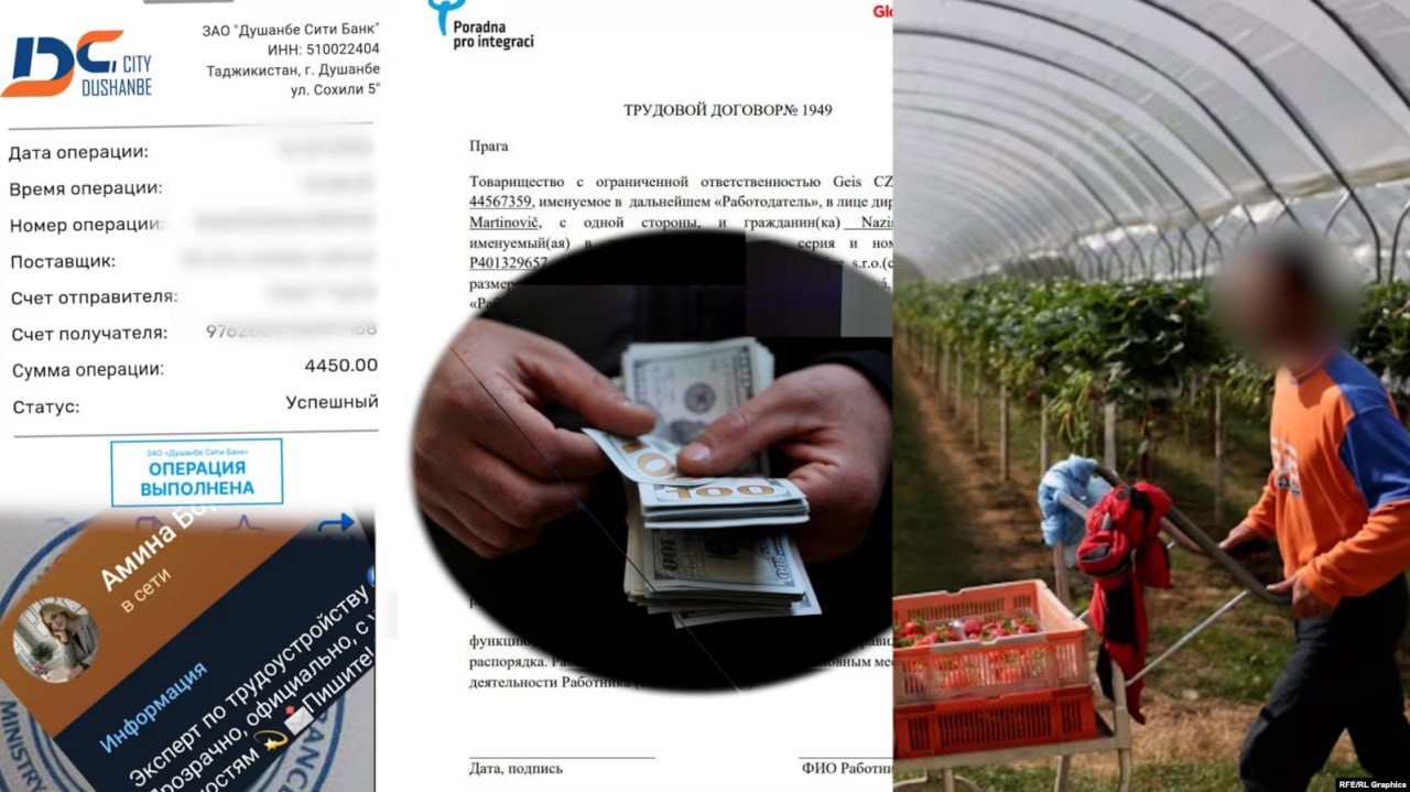 photo_5402433371171920557_y