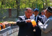 Шаҳристон: Бунёди корхонаи истеҳсоли обҳои ташнагишикан