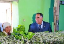 Кирмакпарварӣ дар Истаравшан