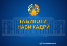 Таъиноти нави кадрӣ