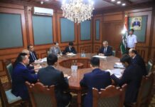 Давлаталӣ Саид бо Ян Сисюн мулоқот кард